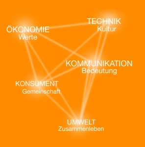 Kosmos_Orange Kultur Werte
